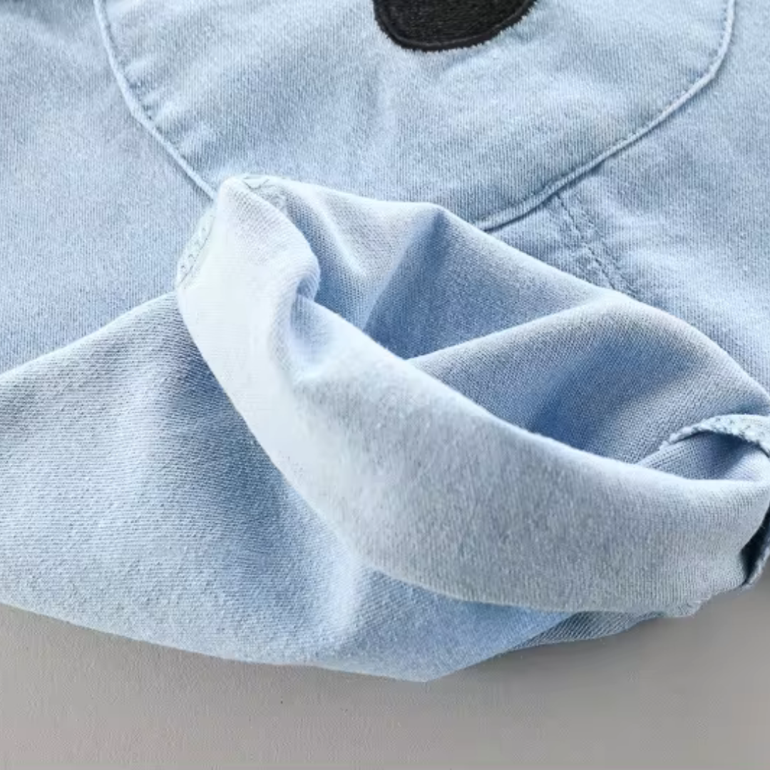 Pure Cotton Teddy Dungaree Set for boys