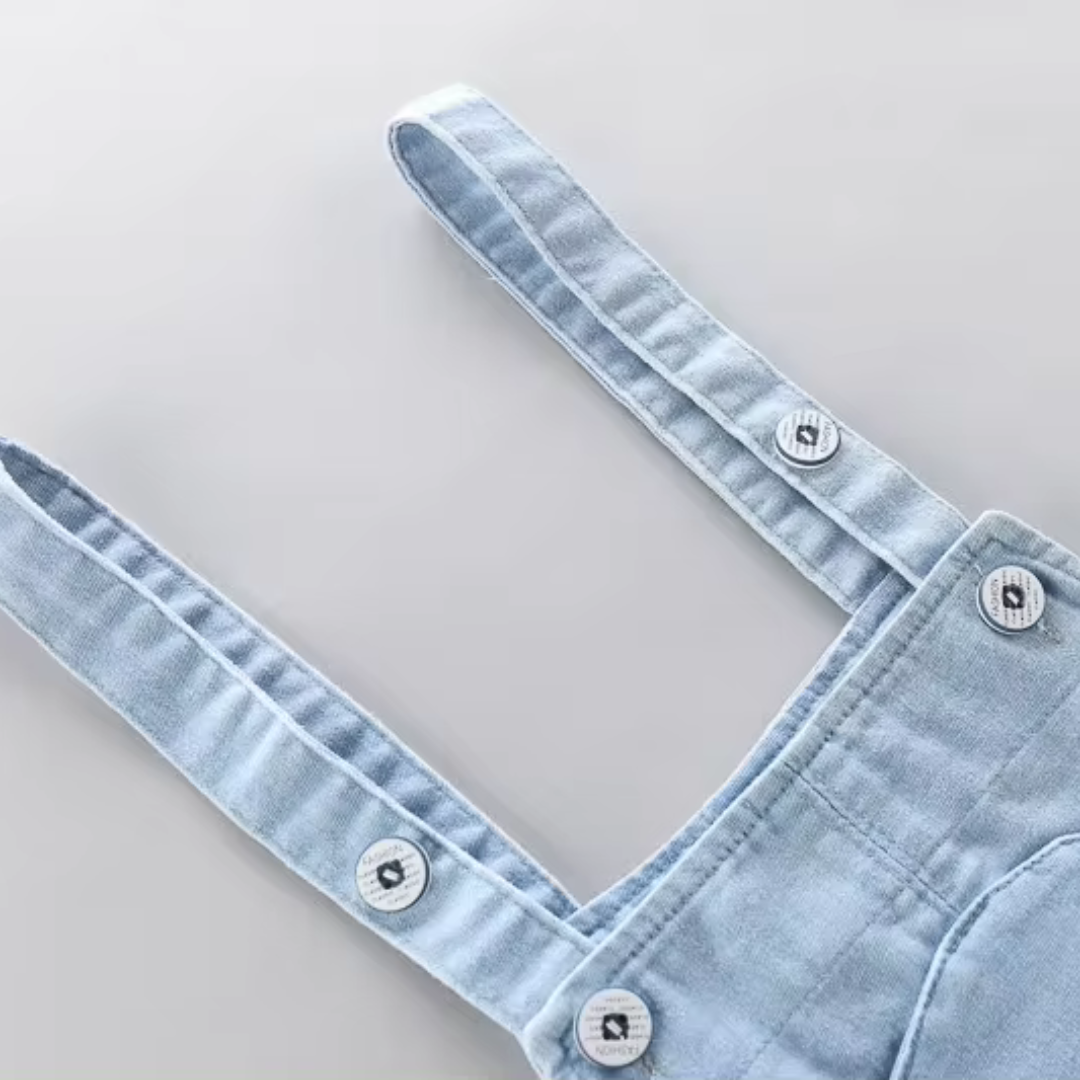 Pure Cotton Teddy Dungaree Set for boys