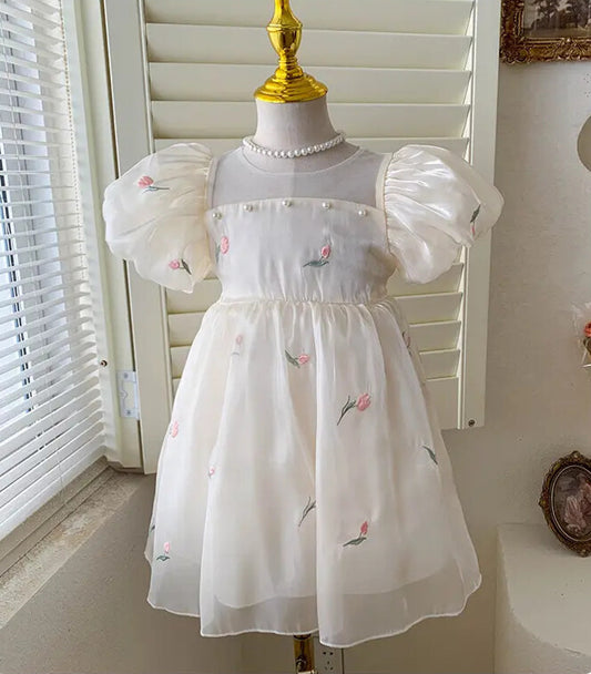 Fairy Baby Girl Party Dress
